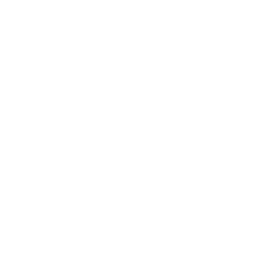 Breaking Free logo cage with bird flying