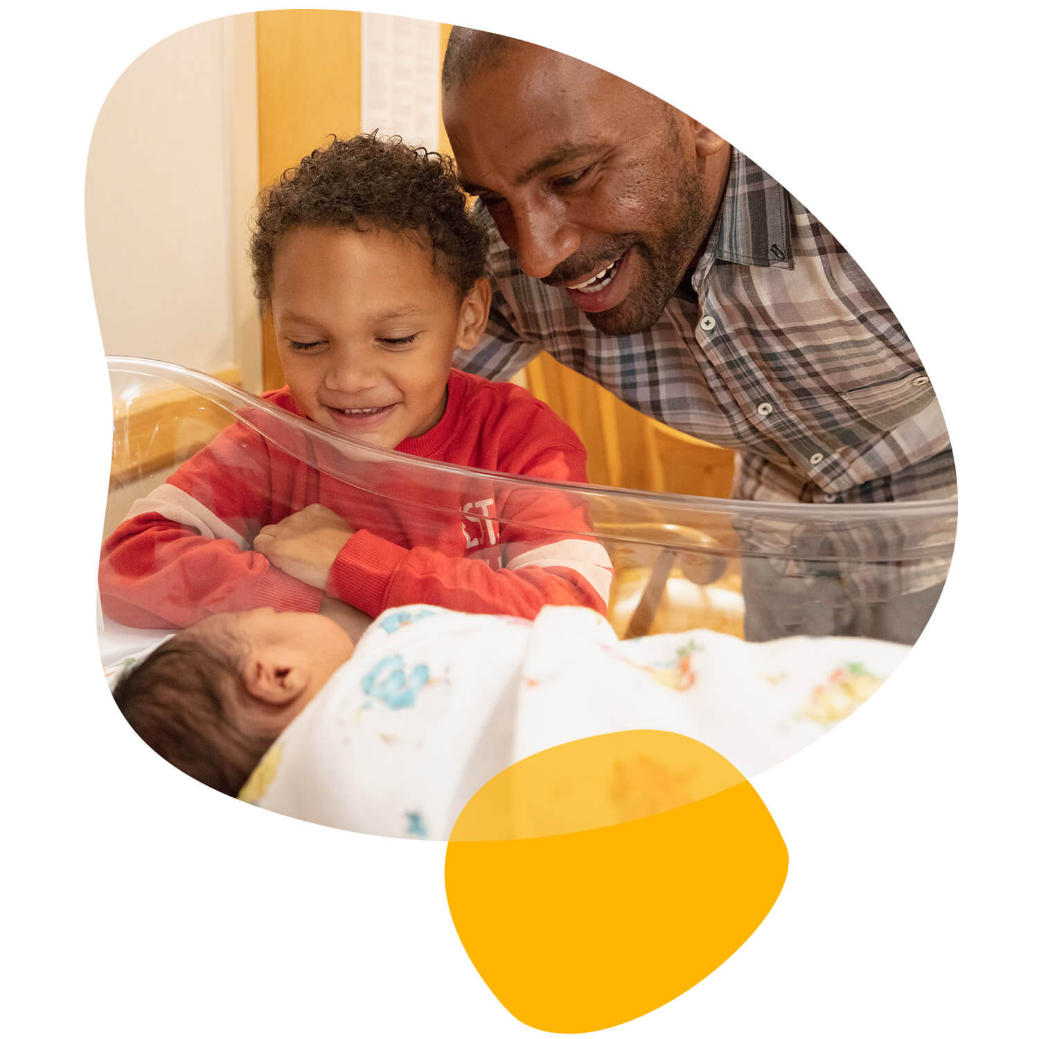 Healthy Families America The Family Partnership